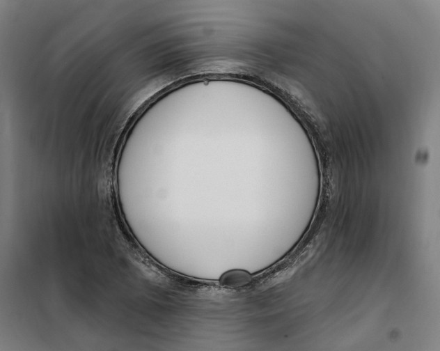 X0000101231073200807251129