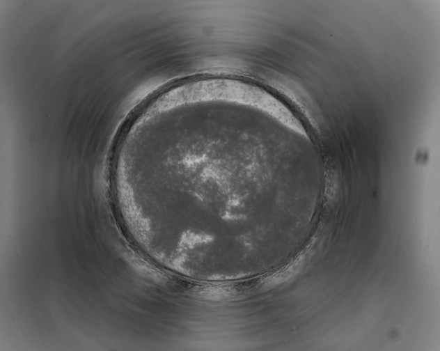 X0000101231074200807251129