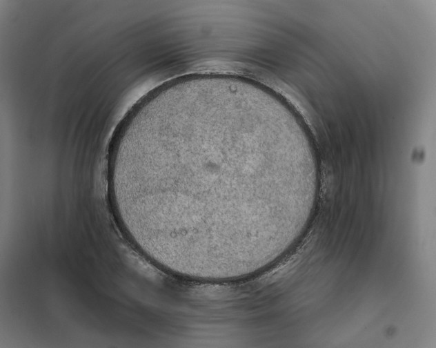 X0000101231075200807251128