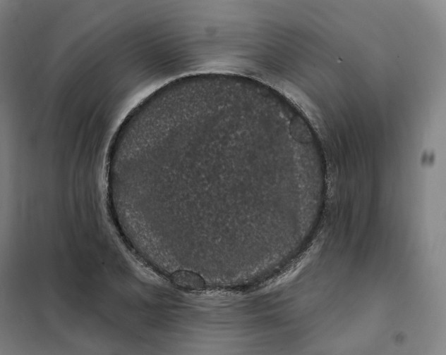 X0000101231077200807251128