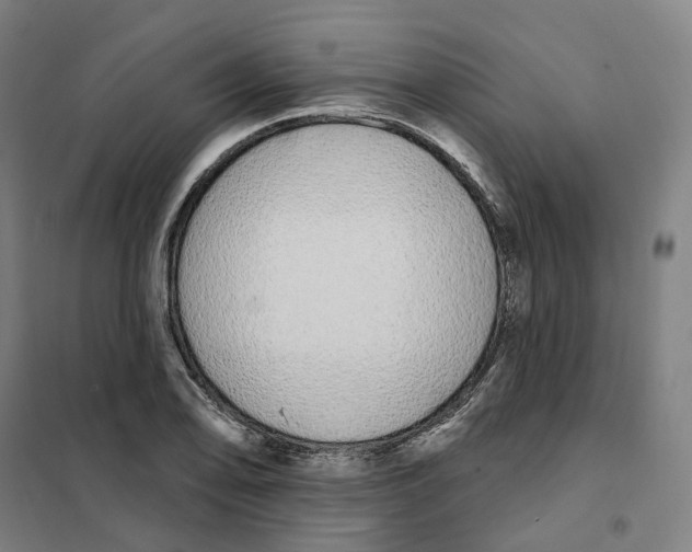 X0000101231078200807251128