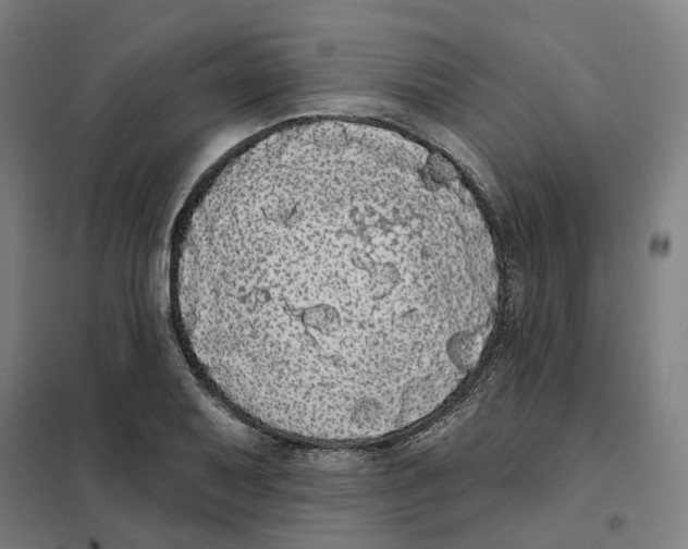X0000101231079200807251128