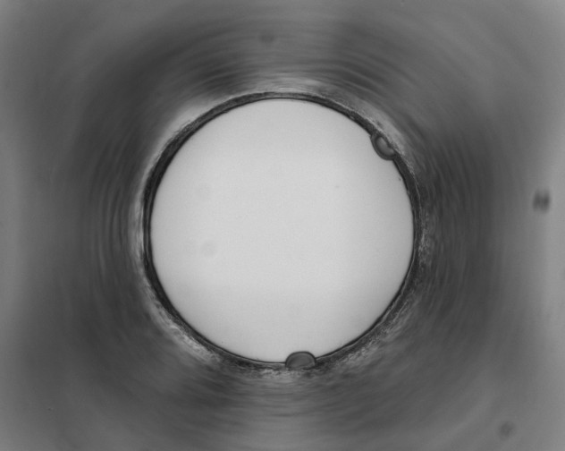 X0000101231080200807251128