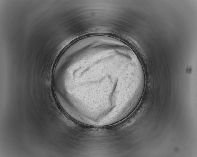 X0000101231081200807251128