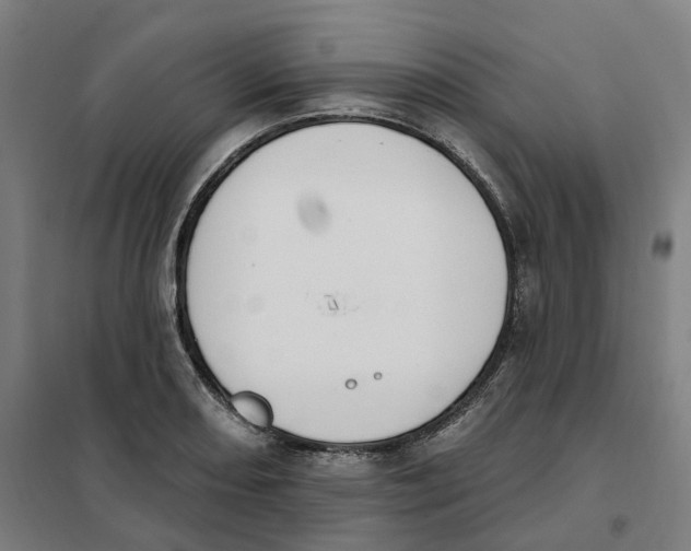 X0000101231082200807251128