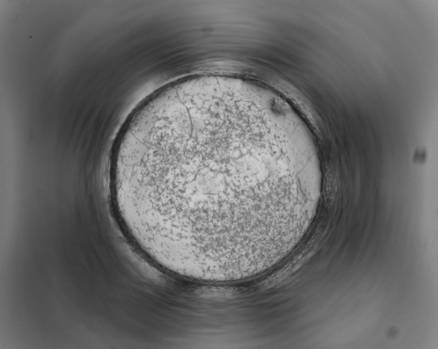 X0000101231083200807251128