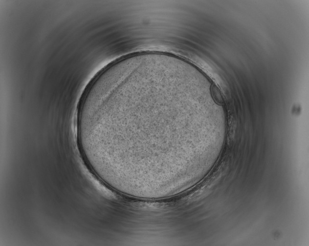 X0000101231084200807251128