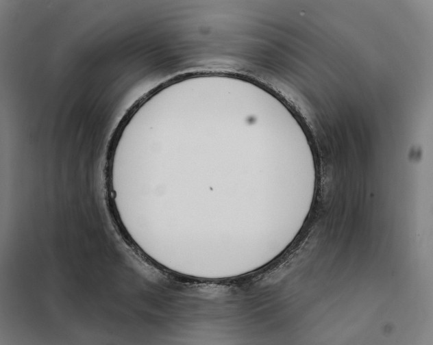 X0000101231085200807251128
