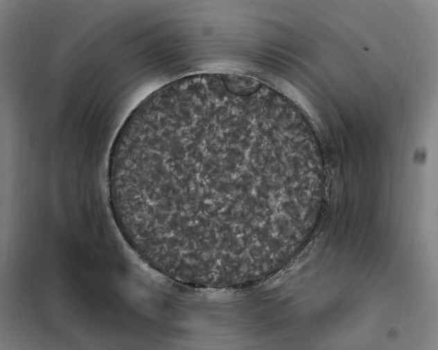 X0000101231087200807251128