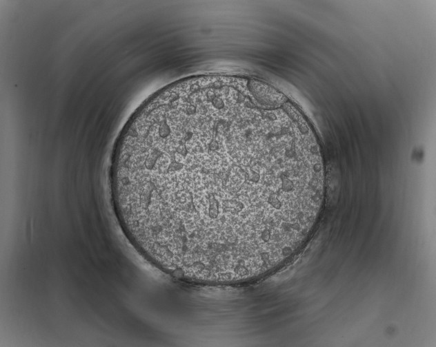 X0000101231091200807251128