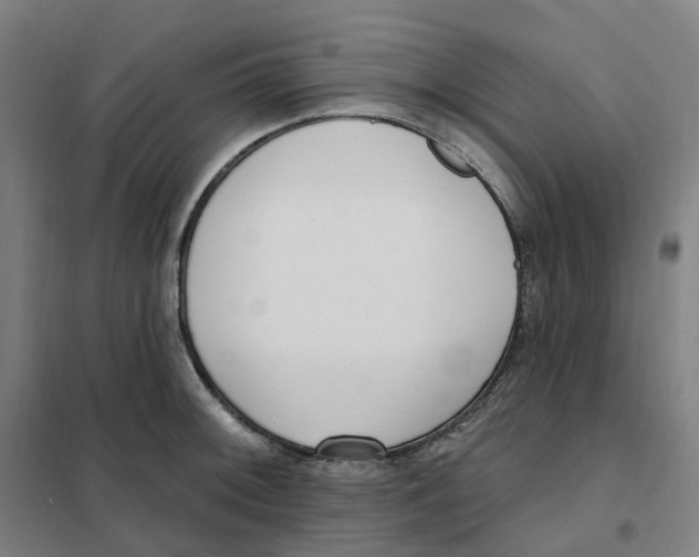 X0000101231092200807251128