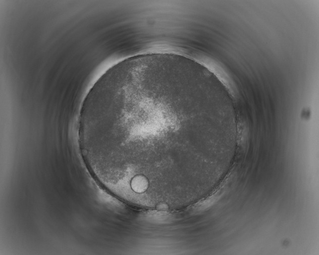 X0000101231094200807251128