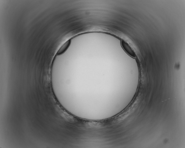 X0000101231097200807251128