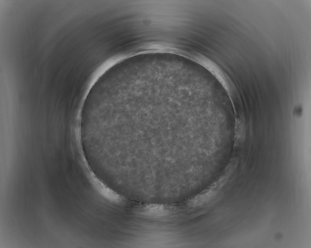 X0000101231098200807251128
