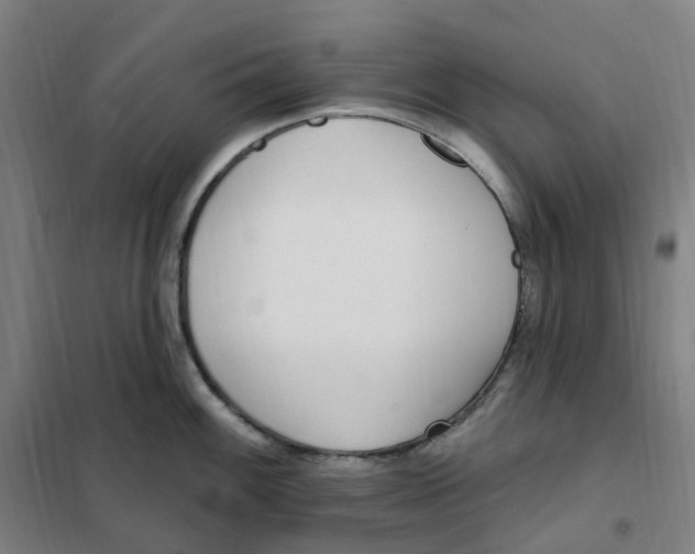 X0000101231100200807251128
