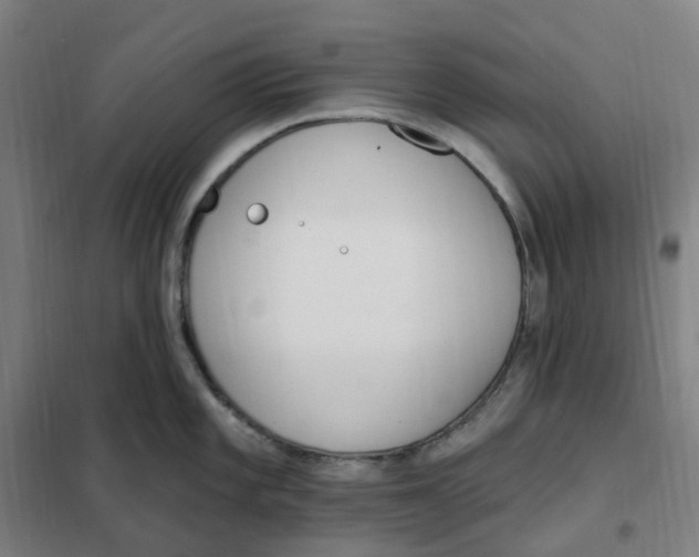 X0000101231101200807251128