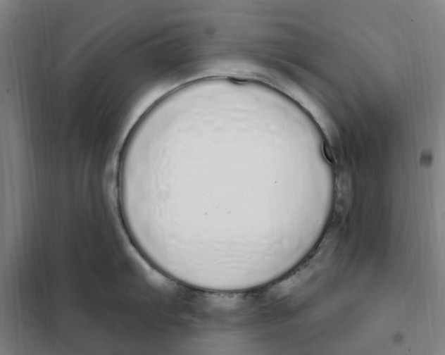 X0000101231103200807251128