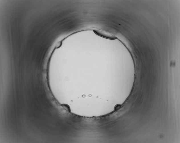 X0000101231104200807251128