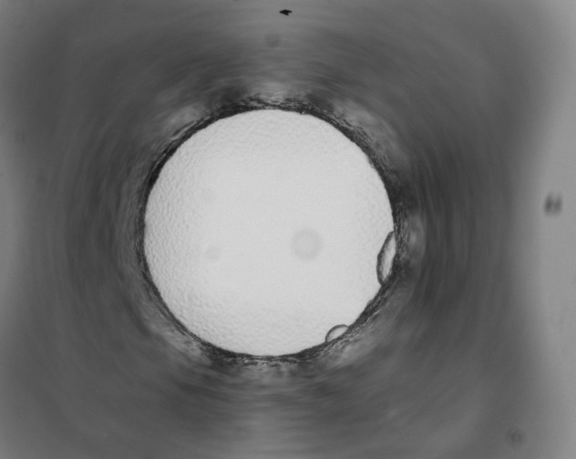 X0000101231105200807251127