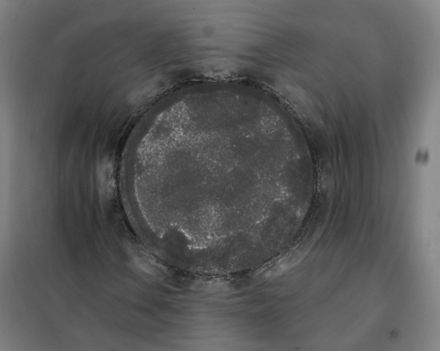 X0000101231106200807251127