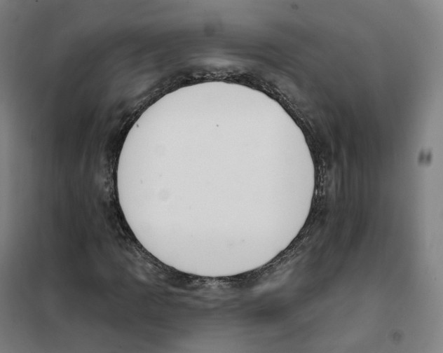 X0000101231109200807251127