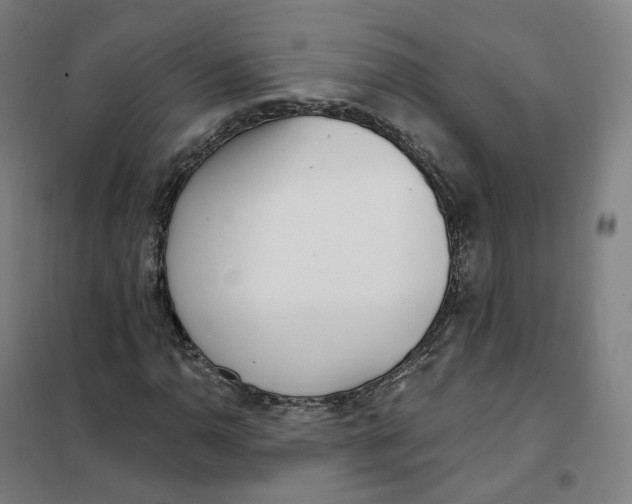 X0000101231110200807251128