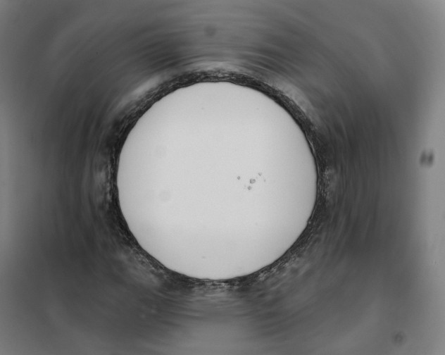 X0000101231111200807251128