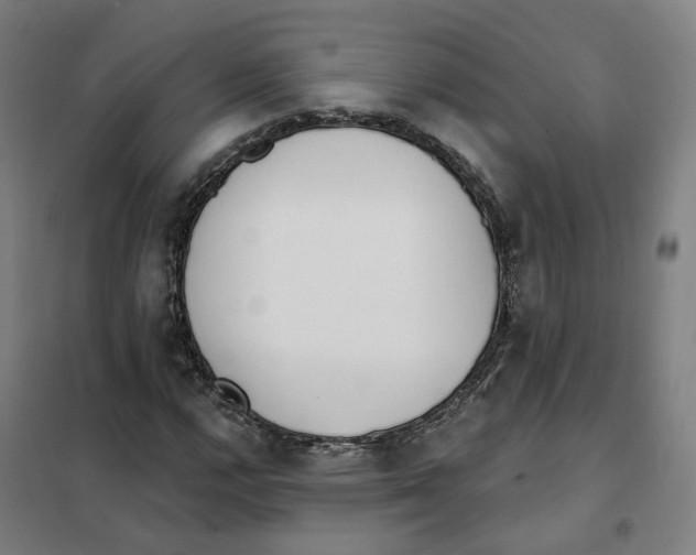 X0000101231112200807251128