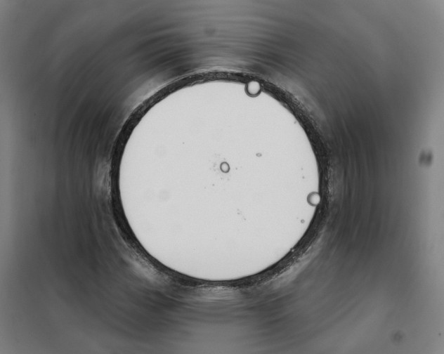 X0000101231113200807251128