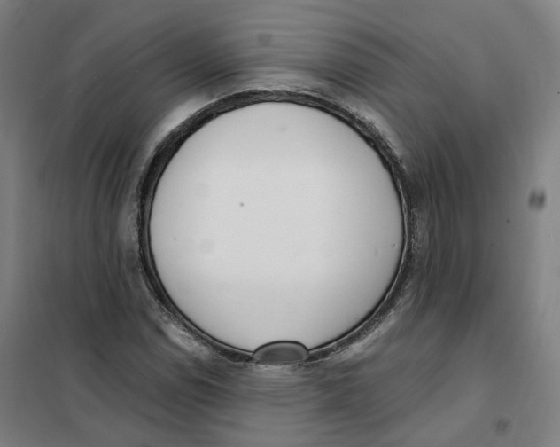 X0000101231114200807251128
