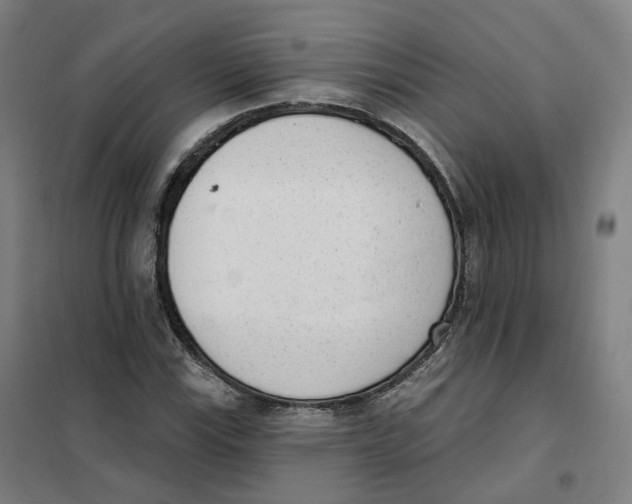 X0000101231115200807251128