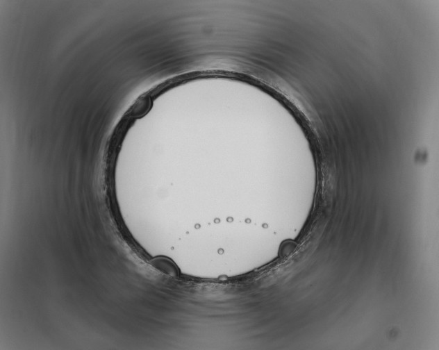 X0000101231116200807251128