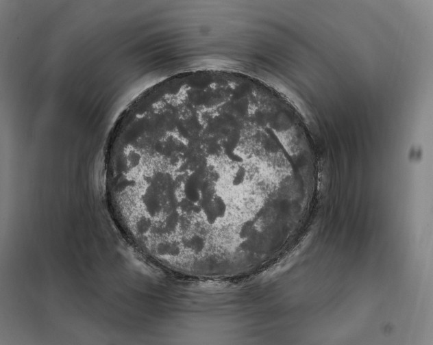 X0000101231117200807251128