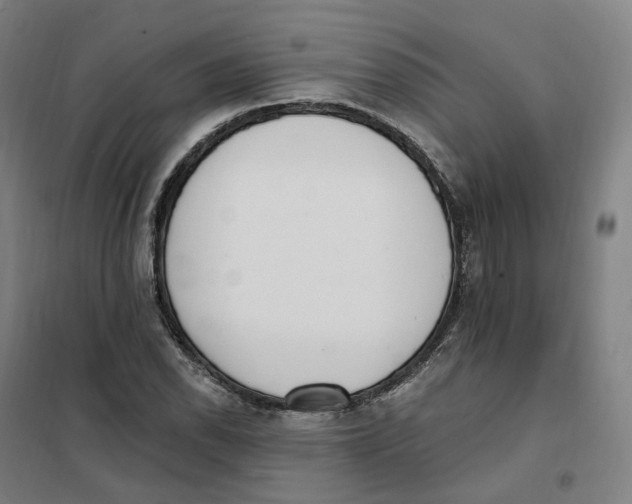 X0000101231118200807251128