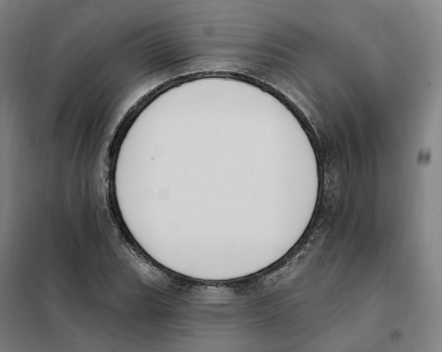 X0000101231119200807251128