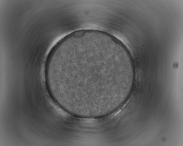 X0000101231120200807251128