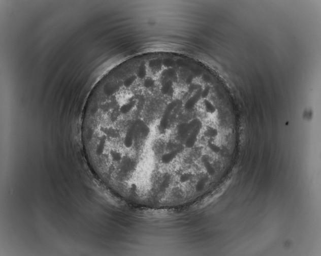 X0000101231121200807251128