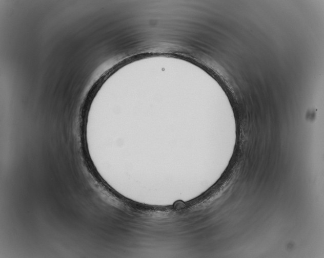 X0000101231122200807251128