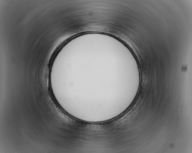 X0000101231123200807251128