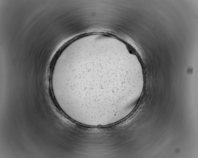 X0000101231124200807251128
