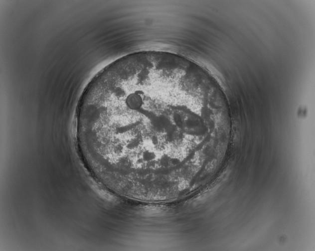 X0000101231125200807251128