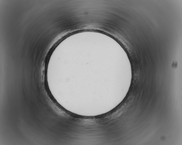 X0000101231126200807251128