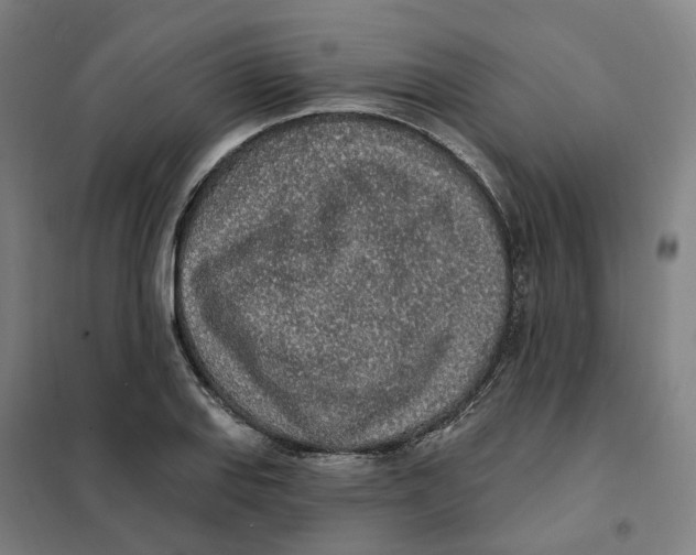 X0000101231127200807251128