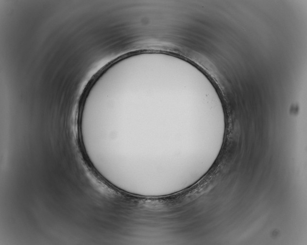 X0000101231128200807251128
