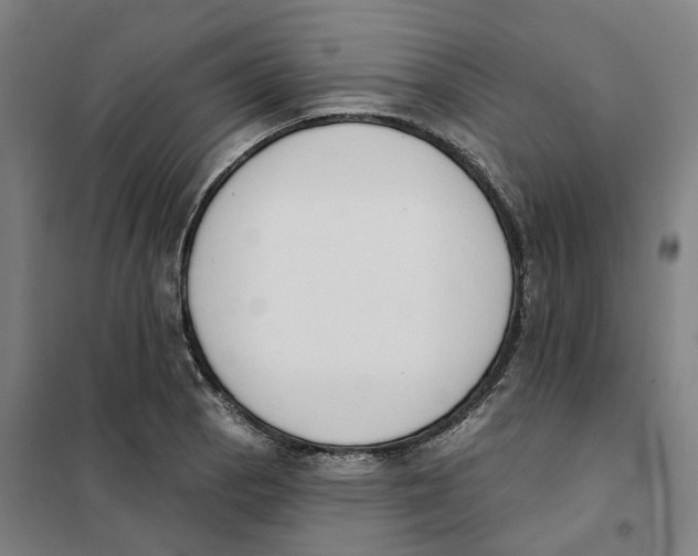 X0000101231129200807251128