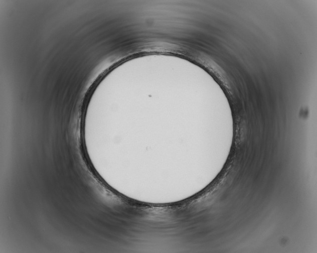 X0000101231130200807251128