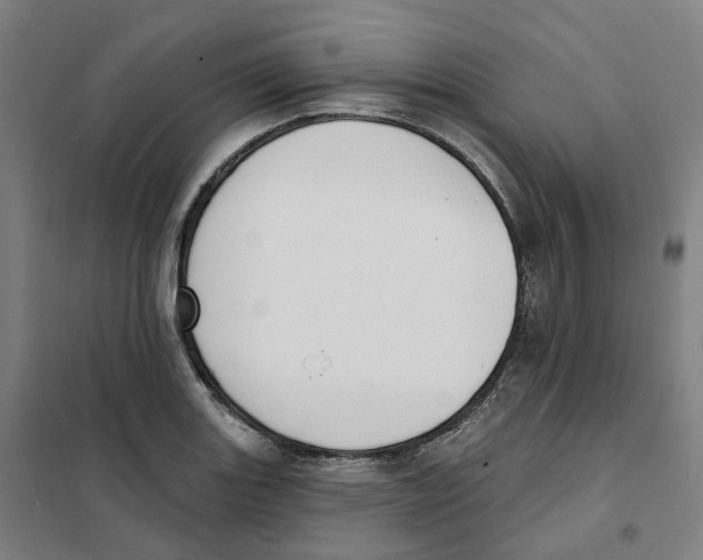 X0000101231131200807251128
