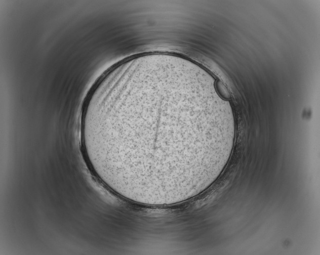 X0000101231132200807251128