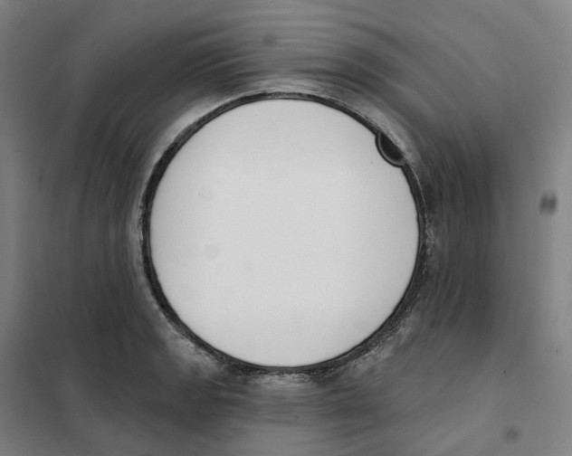 X0000101231133200807251128