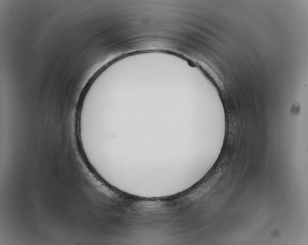 X0000101231134200807251128